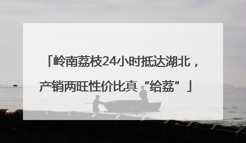 岭南荔枝24小时抵达湖北，产销两旺性价比真“给荔”